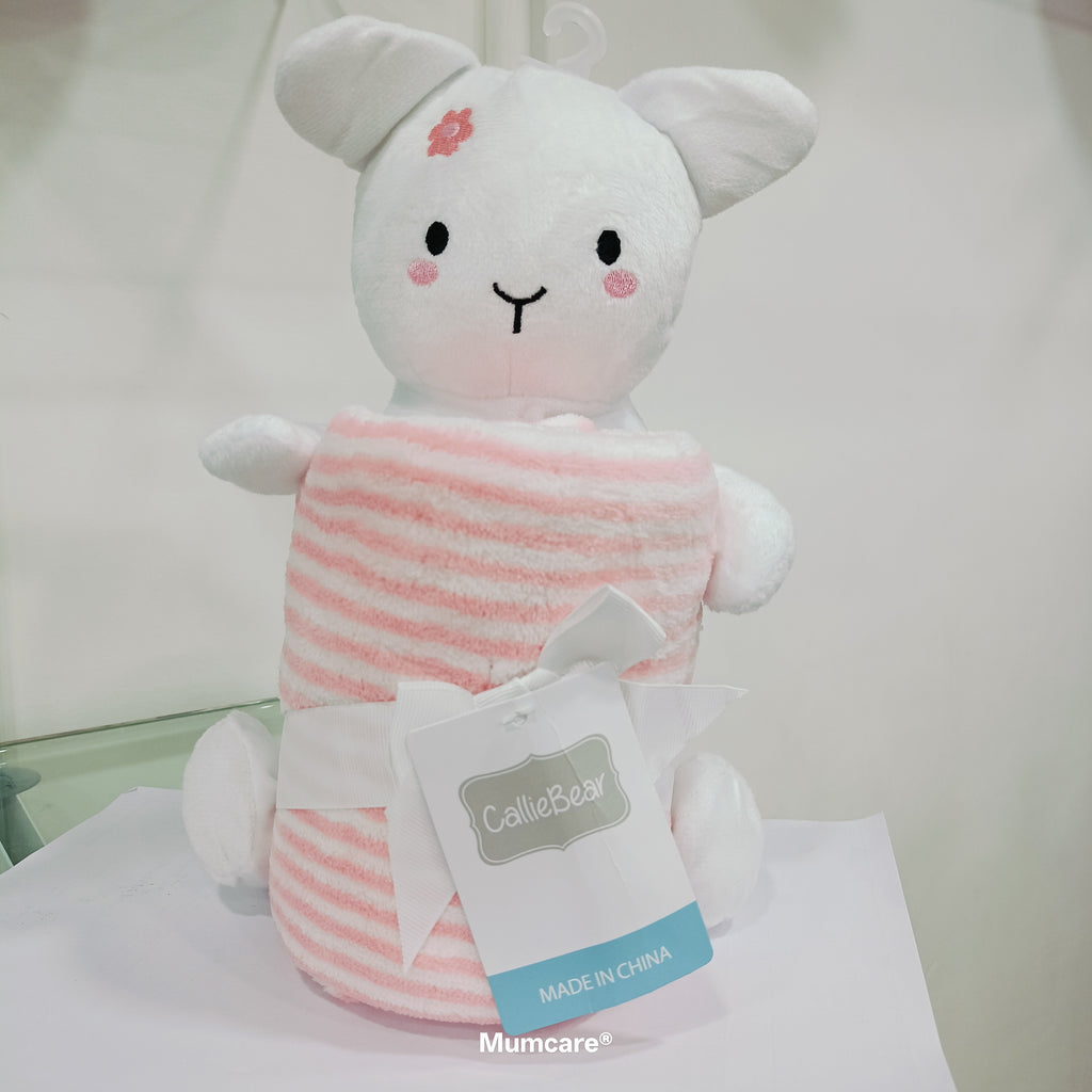 Teddy with blanket