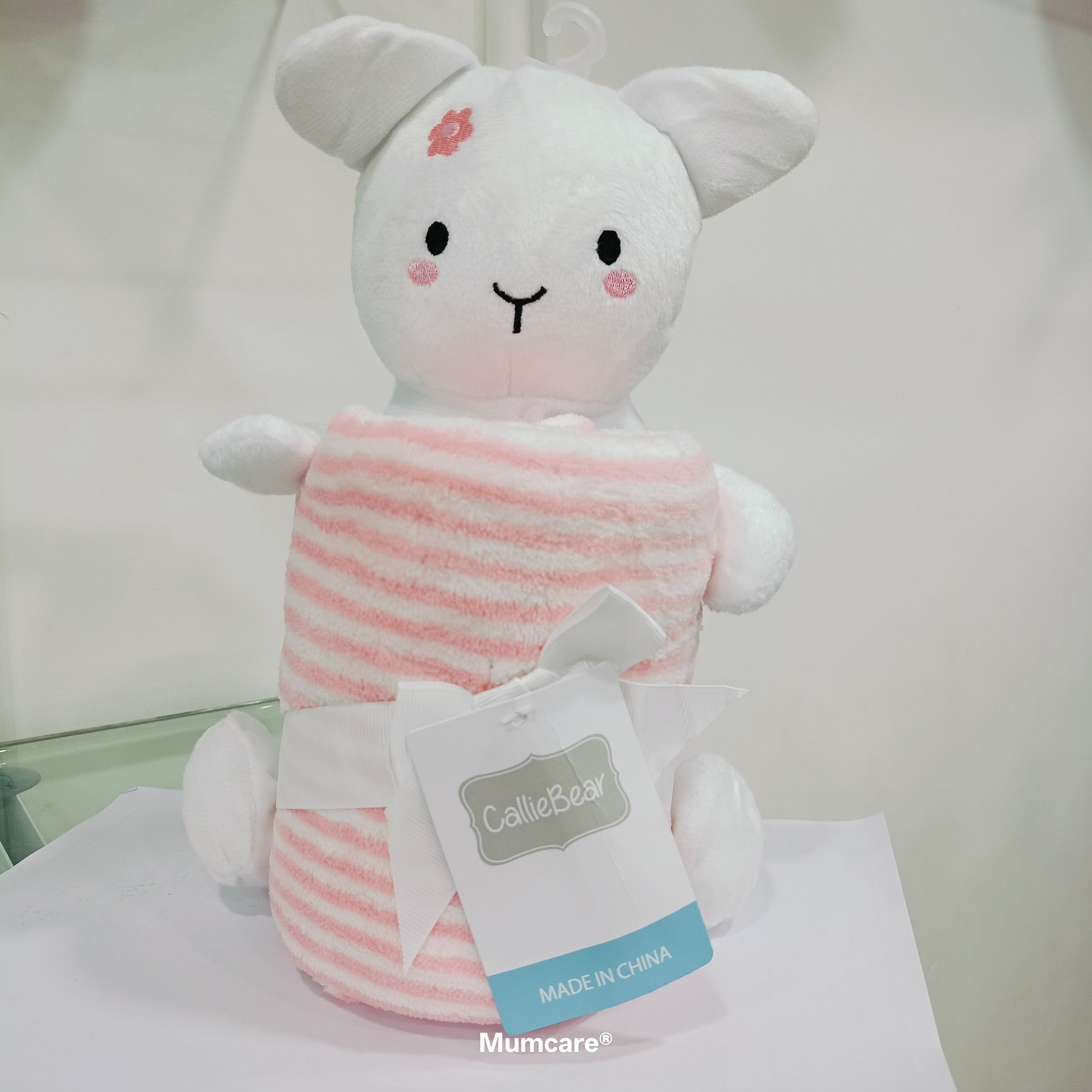 Teddy with blanket