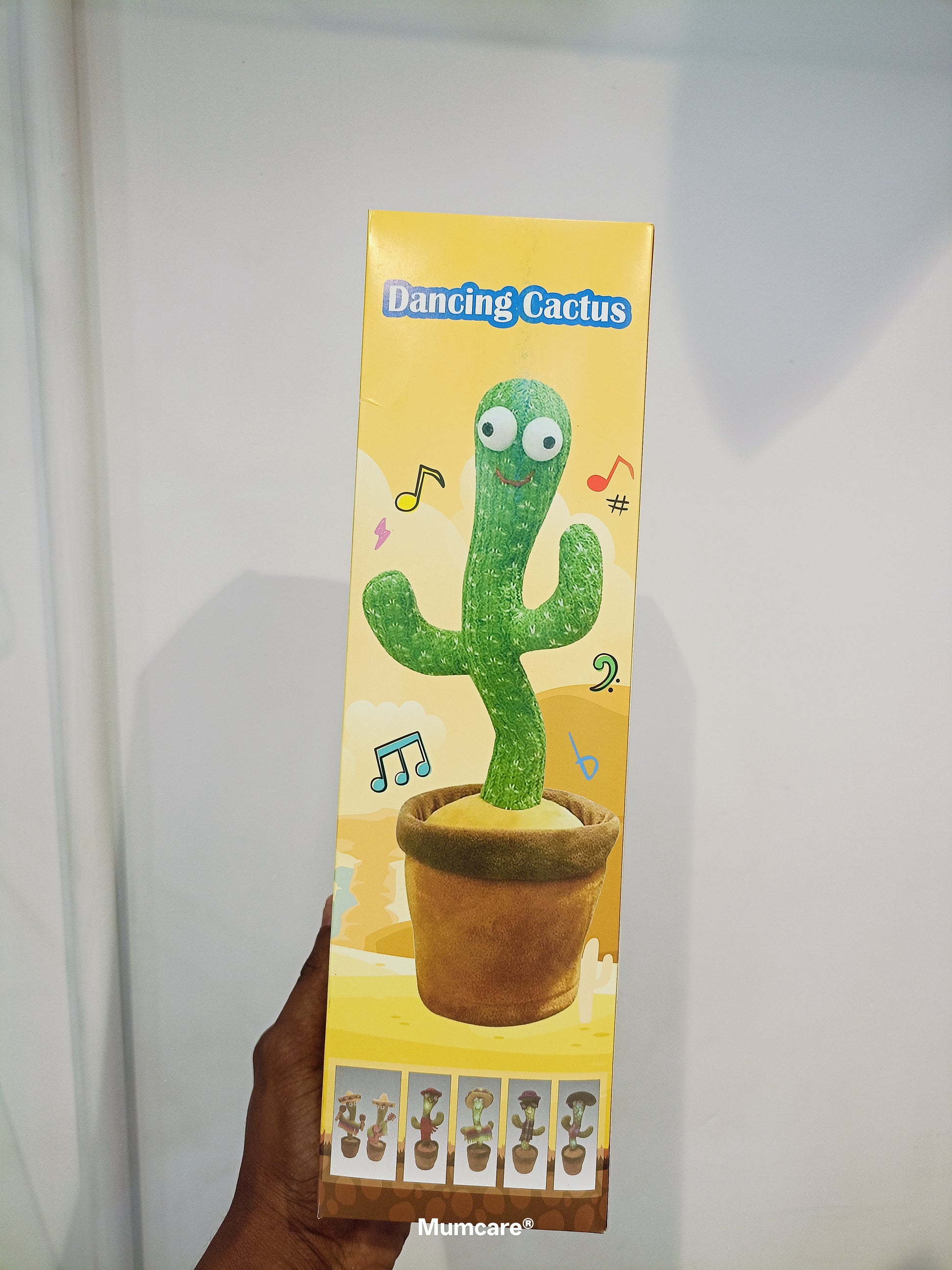 Dancing Cactus