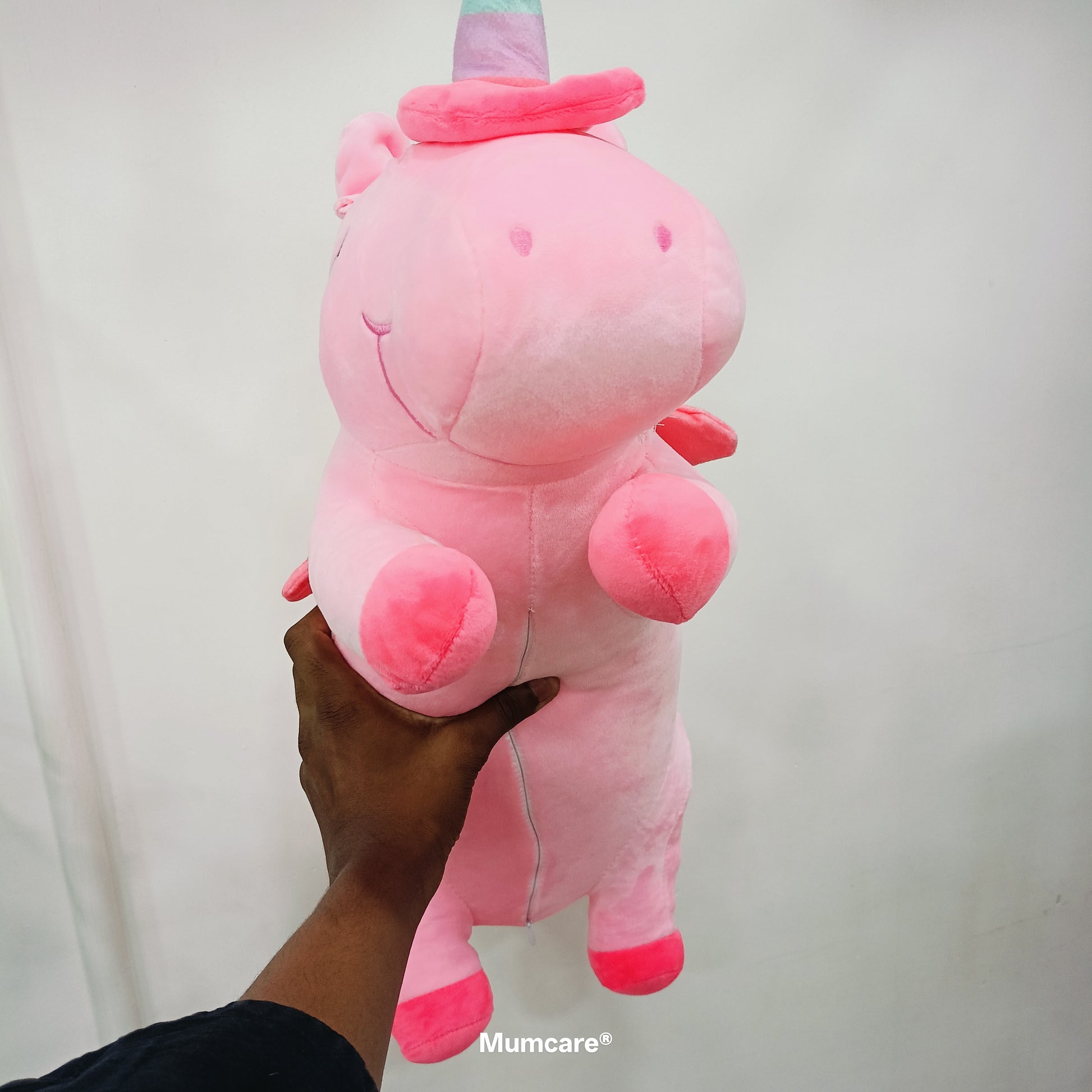 Unicorn with Blacket