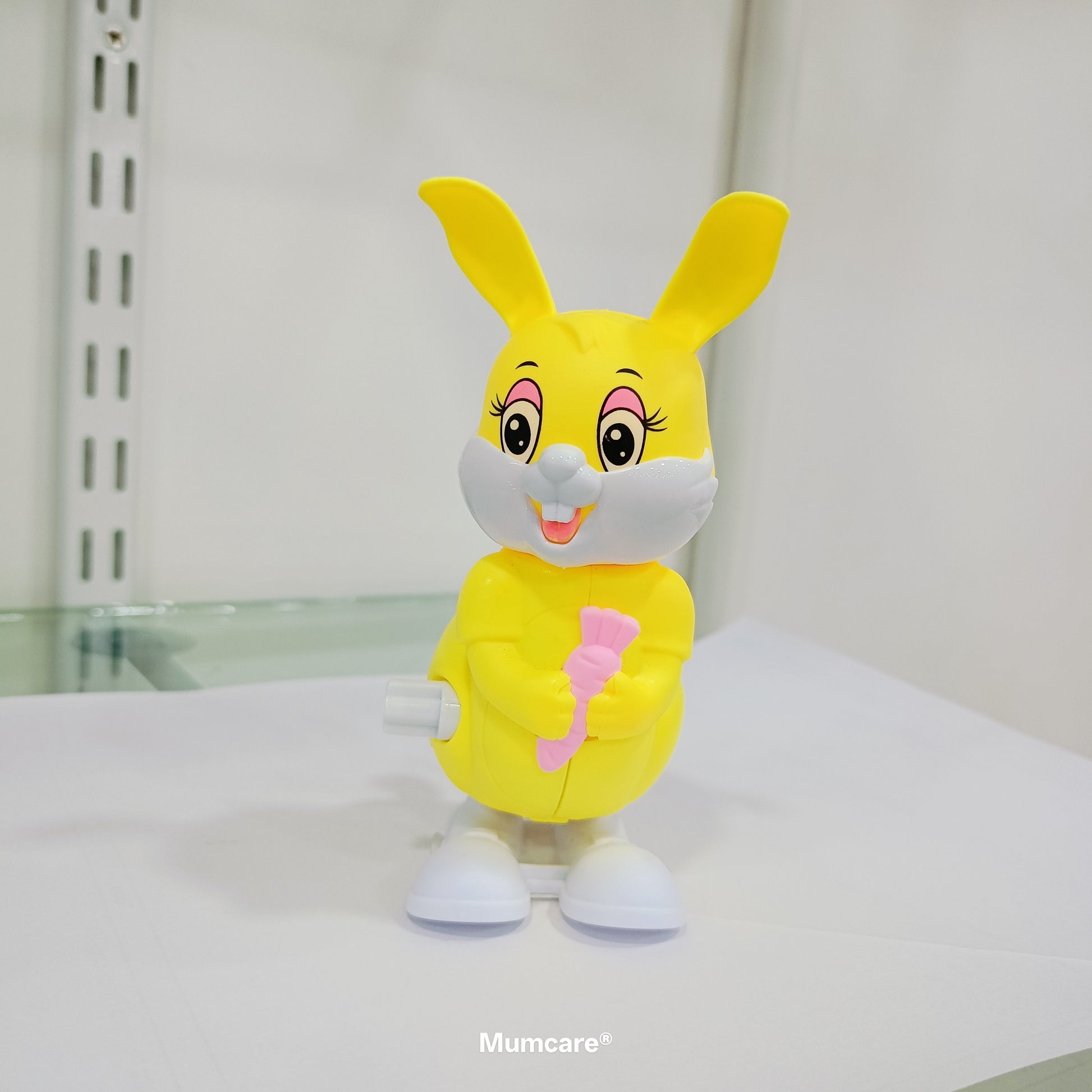 Jumping Rabbit