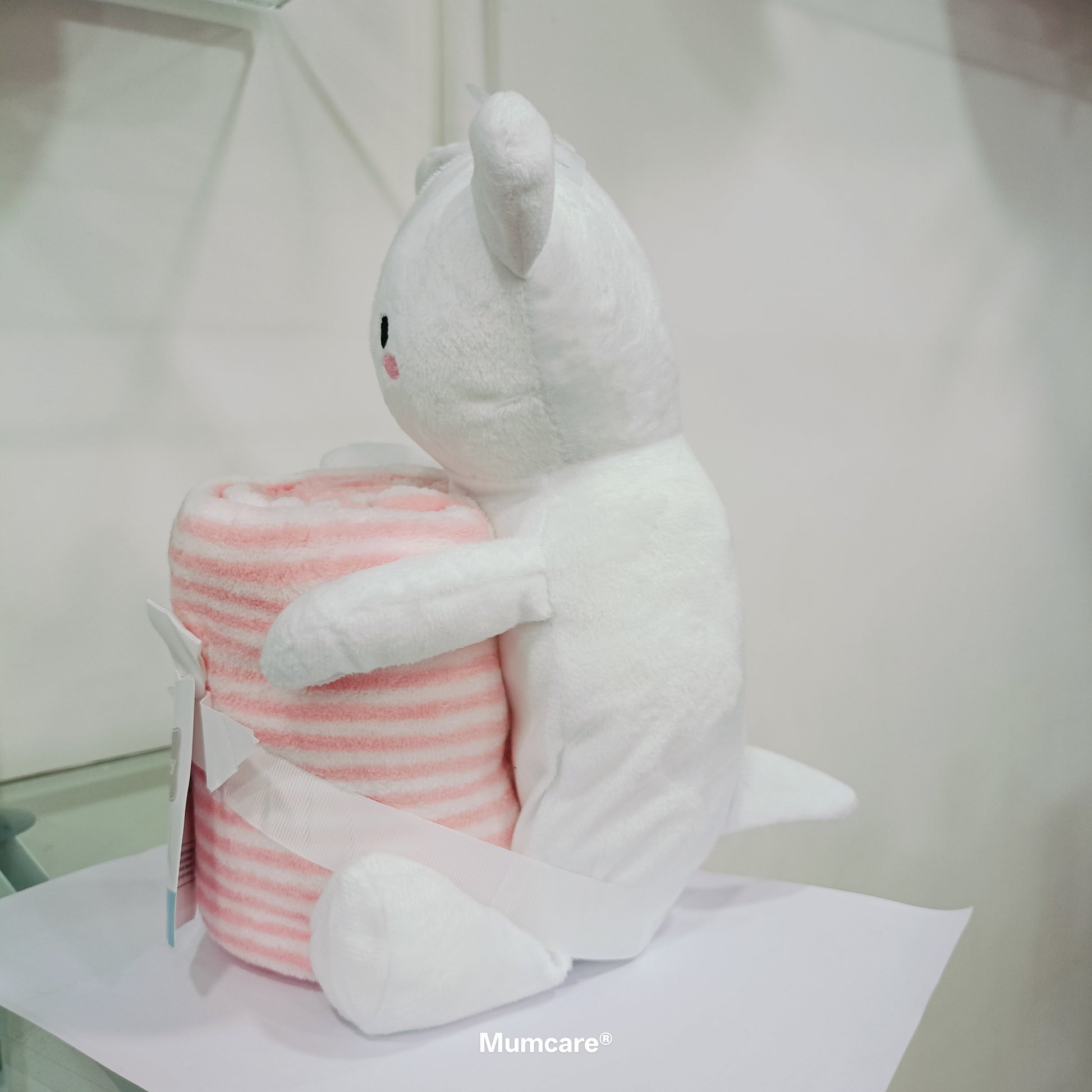 Teddy with blanket